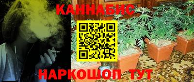 трава Лесосибирск