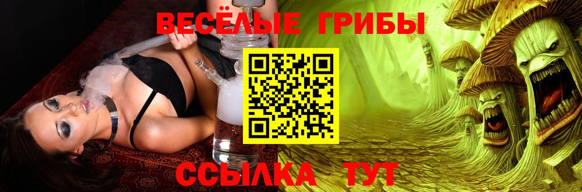 Галлюциногенные грибы Cubensis Касимов