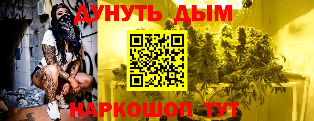 Бошки Шишки семена  Шишки марихуана White Widow  Касимов  Марихуана сатива  Вход с VPN 